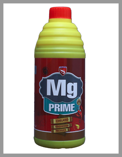 MG Prime