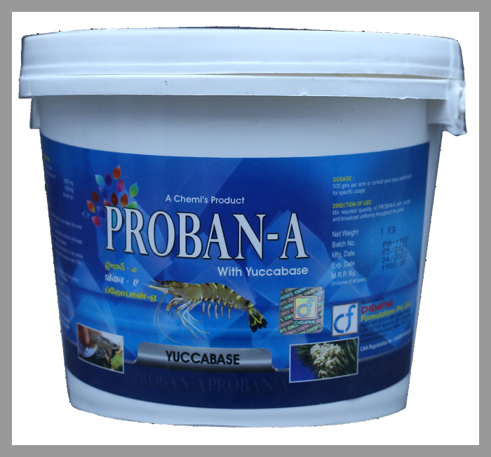 PROBAN A